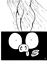 girlnpig12.jpg