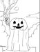 Pumpkinvb.jpg